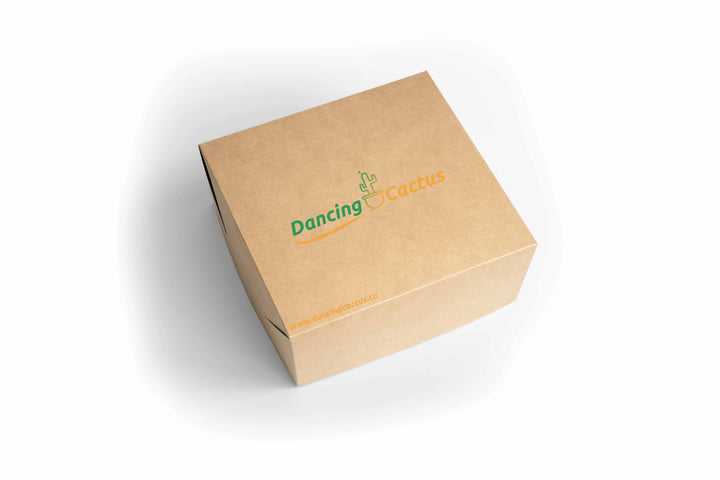 white background, white ground, yellow cardboard paper wrapped package, dancing cactus brand logo, dancing cactus toy packaging, product image